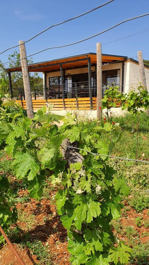 Collis Winery - Family & Friends - Mobilhome Rovinj Buitenkant foto